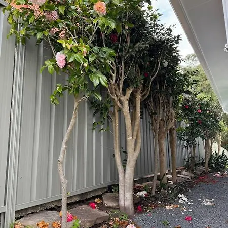 Sunny Rose Villa Shellharbour Exterior photo
