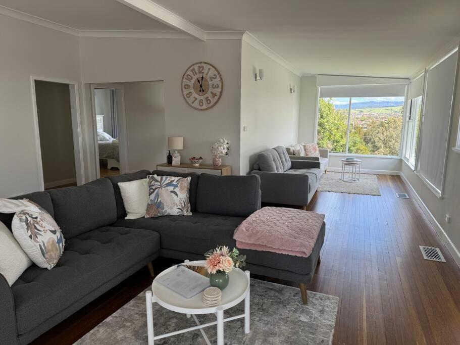 Sunny Rose * Shellharbour
