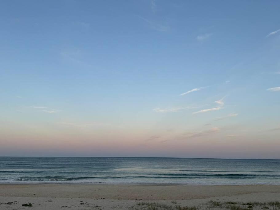Sunny Rose Shellharbour